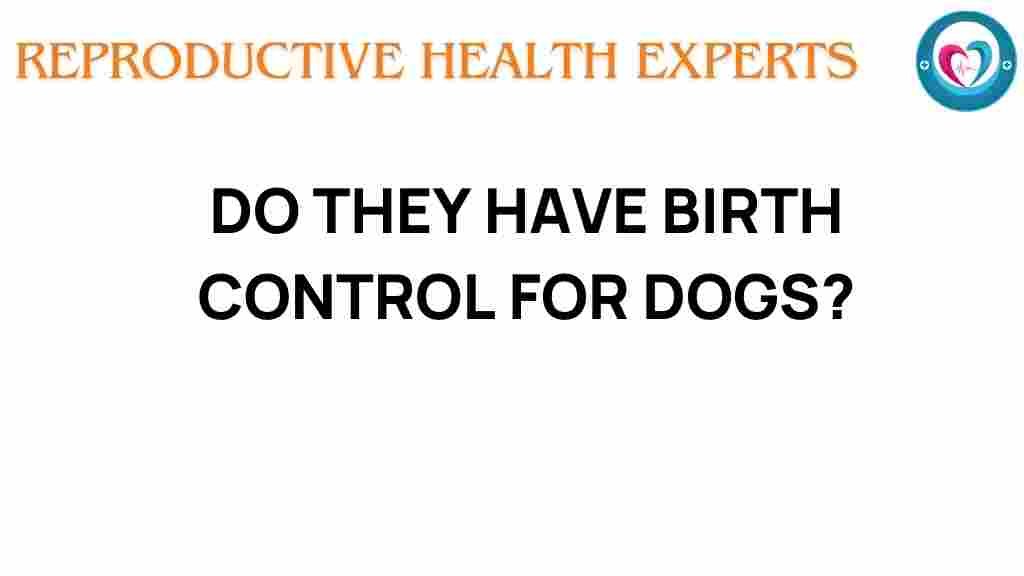 birth-control-for-dogs