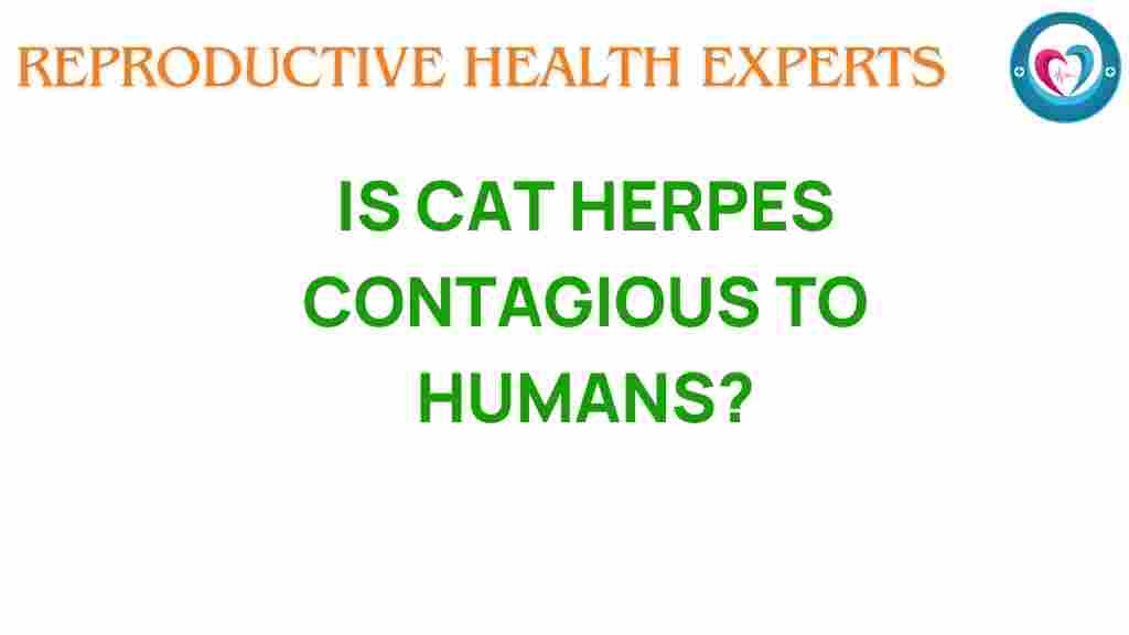 cat-herpes-contagious-to-humans