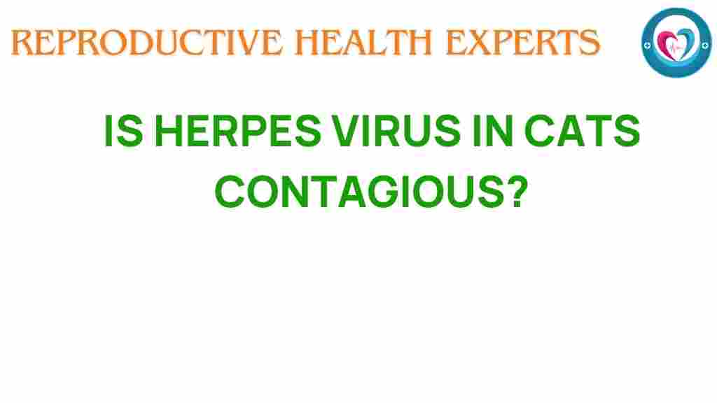herpes-virus-in-cats-contagious
