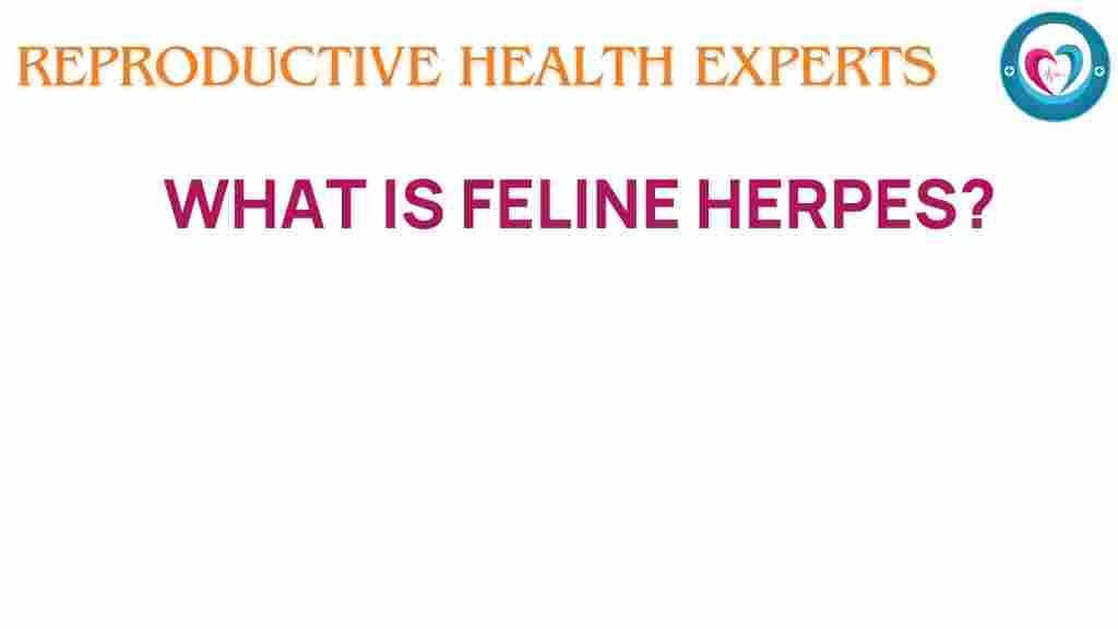 feline-herpes-what-you-need-to-know