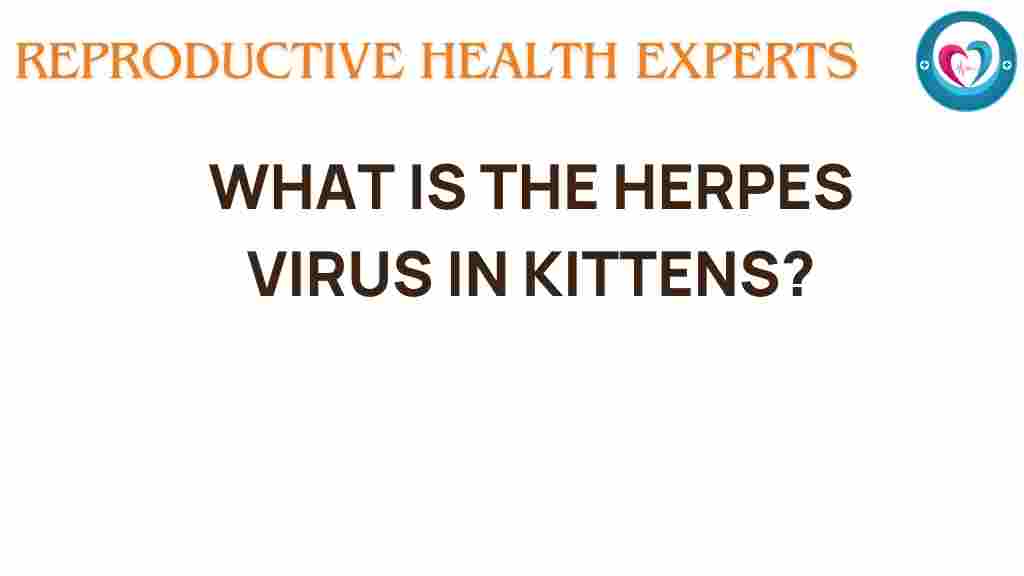 herpes-virus-in-kittens